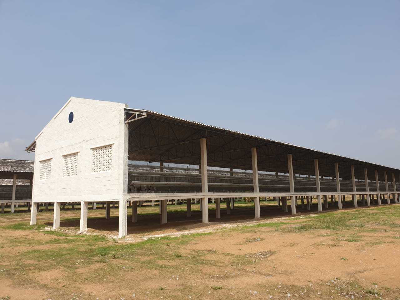Breeder — Dikshitha Hatcheries | We start with integrity & end with ...